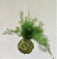 /album/aktualne-k-prodeji/img-20171002-165523-resized-20171010-093722586-2-jpg/